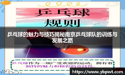 乒乓球的魅力与技巧揭秘南京乒乓球队的训练与发展之路